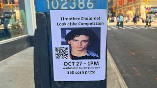 how i started the timothee chalamet lookalike contest [upl. by Wolbrom172]