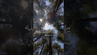 Rehman ya Rehman by Mishary Rashid naat naatsharif islamicshorts shortsvideo [upl. by Marcie]