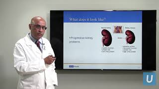 Kidney Disease What You Should Know  Anjay Rastogi MD  UCLAMDChat [upl. by Fennessy]