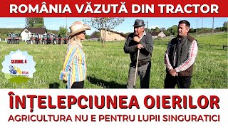 Înțelepciunea oierilor agricultura nu e pentru lupii singuratici  România văzută din tractor [upl. by Rimisac]