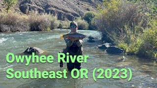 Owyhee River Browns amp Bows 2023 [upl. by Avlasor]