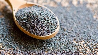 5 Amazing Health Benefits Of Poppy Seeds [upl. by Buyse]