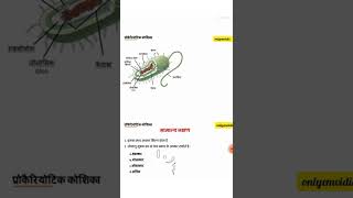 prokaryotic koshika kya hoti hai। prokaryoticcell ।। prokaryotic koshika किसमें पायीं जाती हैshort [upl. by Rizas495]