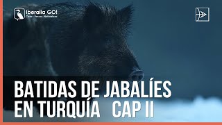 Batidas de Jabalíes en Turquía Capítulo 2  Iberalia GO [upl. by Cristobal972]