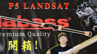 Megabass 2020 版Destroyer P5 Landsat F3611XS 倒吊竿開箱！初印象、與一代名竿比較 Destroyer P5 Landsat Unboxing [upl. by Leitnahs]