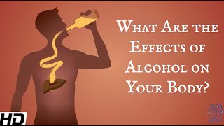 What Are The Effects Of Alcohol On Your Body [upl. by Ojadnama]