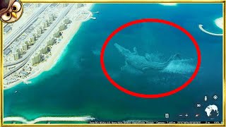 30 Giant Creatures Found On Earth amp Caught on Camera [upl. by Iorgo]