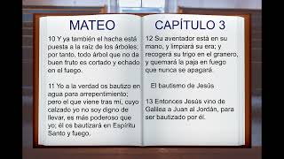 LA BIBLIA HABLADA quot SAN MATEO quot COMPLETO NUEVO TESTAMENTO [upl. by Fachini]