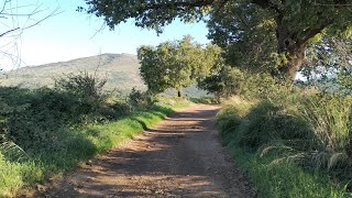 Da San Vittorino a San Gregorio da Sassola RM a piedi luoghisegretiaduepassidaroma [upl. by Ydnec]