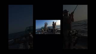 Lake Ontario salmon fishing [upl. by Minny]