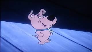 Scrappy Doo Music Video [upl. by Rramal]