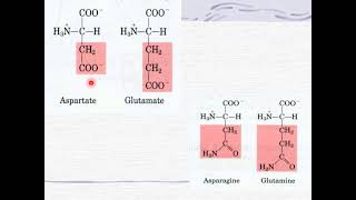 Amino Acids Biochemistry part 1 [upl. by Pet]