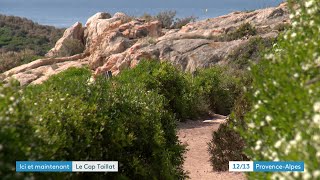 Le cap Taillat dans le Var un des sites emblématiques du Conservatoire du Littoral [upl. by Ubana687]