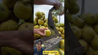 Buah lontar amazingcutting fruit [upl. by Randolf]