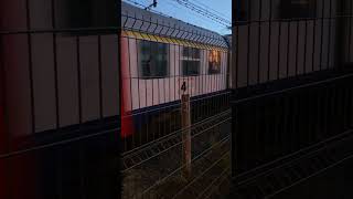 MS86 paseert Station Geraardsbergen nmbs train sncbnmbs trainspotting [upl. by Nellir]