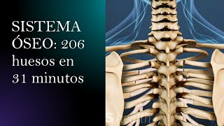 Sistema óseo y sus 206 huesos en 31 mins [upl. by Holmes]