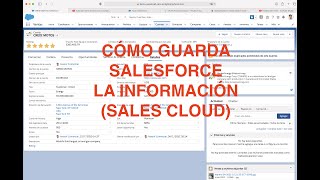 SALESFORCE  CAPACITACIÓN  COMO GUARDA SALESFORCE LA INFORMACIÓN [upl. by Anastice985]