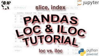 Pandas Tutorial Slicing amp Indexing Using loc amp iloc [upl. by Drucy360]