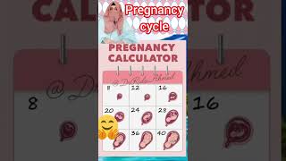 Pregnancy Cycle week by week DrRidaAhmed trending calmdown shorts shortsfeed shortvideo [upl. by Yeffej]