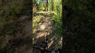 Getting sprayed by a skunk Mountain Biking in Oregon shorts mtb fail [upl. by Idnyl940]