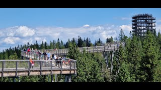 Bachledka Treetop Walk Slovakia 2023 [upl. by Ycniuqed]