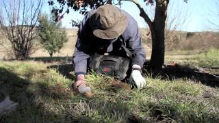 Truffle Hunting at Tarago South New South Wales [upl. by Eenhat]