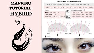 How To Do Hybrid Lash Extensions  Complete Mapping Tutorial  Doll Eye  Eyelash Extensions 101 [upl. by Elorak]