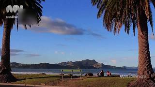 The Coromandel New Zealand [upl. by Kiernan]