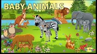 Baby Animals Names and Sounds [upl. by Kannan78]