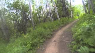 Tom Blake Trail Snowmass Villiage CO August 2014 [upl. by Yeoj885]