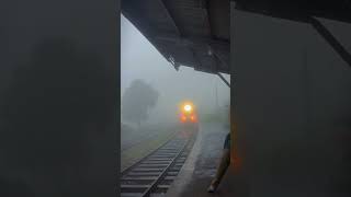 ඉදල්ගස්හින්න  Ella Odyssey Express Train 😎🚆🚇 Sri Lanka srilanka shortvideo shorts travel [upl. by Oswald166]