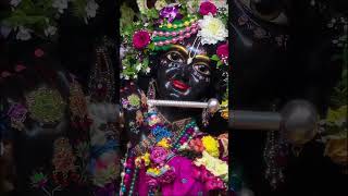 Yaha yamana kinara hai hare krishnaradheshyam vrindavanrasik [upl. by Placeeda]