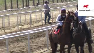 EL DON LOLO C SAN MARTÍN VS EL ROJO C EL DANNYRACE TRACK EL HONGO TECATE [upl. by Acihsay987]