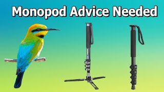 Monopod Advice Needed for Bird Photography [upl. by Nomrac]