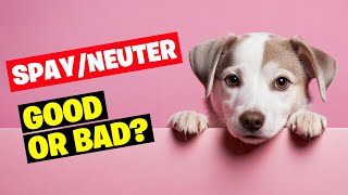 Spaying and Neutering Dogs Good or Bad [upl. by Ahab]