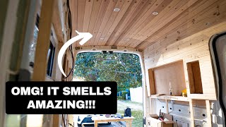 PERFECT van Roof and Walls  Ford Transit Conversion [upl. by Liane]