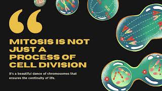 Biology Starts Here Mitosis vs Meiosis 5 Minutes [upl. by Felicidad]