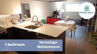 0023630 Rue SainteCatherine E 1bedroom Condo in Hochelaga Maisonneuve  35 à louer [upl. by Lakym712]