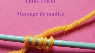 Montage de mailles tricot sur aiguille  Apprendre à tricoter  Knitting Tutorial  Aprender a tejer [upl. by Ametaf]