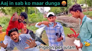 Kabutr per julam 😡  They are harming pigeons 😨 [upl. by Acirehs]