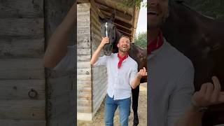 Erkennt ihr alle aus dem Video 🤠🐴 horse pferd pferde pferdecamp shorts equestrian [upl. by Adam]