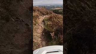 Rake amp Ruin  Dunkeld gopro mtb downhilllife pov mtblife mountainbike [upl. by Rik]