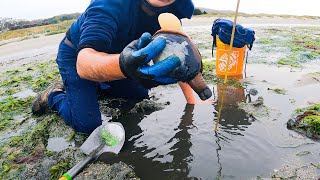 How to Dig Clams  Clamming Tricks [upl. by Ttereve991]