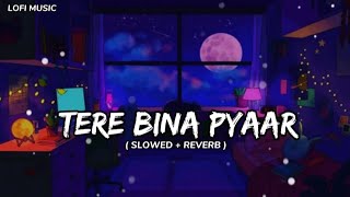 Tere Bina Pyaar 💞  Hindi Song Slowed And Reverb ❤️  Slowed And Reverb Song  LOFISTUDIO134 [upl. by Adyam]