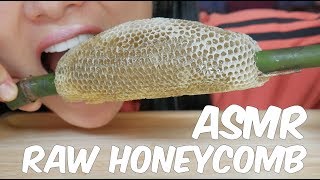 ASMR RAW HONEYCOMB EATING SOUNDS  SASASMR Part 4 [upl. by Nedrob]