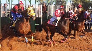 Carreras de Caballos en el Hipodromo de Rayon 06 de Octubre 2019 [upl. by Ylrae866]