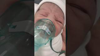 baby Nebulization in NICU baby shorts viral cute youtubeshorts nebulize [upl. by Dyraj920]