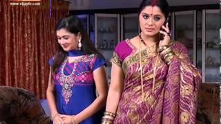 Deivam Thandha Veedu 031414 [upl. by Letnwahs]