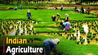 AGRICULTURE IN INDIA  Documentary [upl. by Brozak]