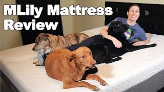 MLILY Fusion Luxe Mattress Review  Ask Doctor Jo [upl. by Shadow]